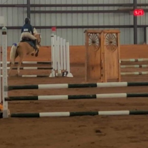 Meet your Posher, Amanda - Picture 7 of 7